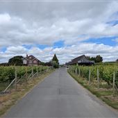 Halfpenny Green Wine Estate