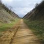 Sewell Cutting