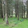 MOD - Warcop Training Area