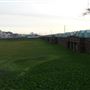 Hove Lawns
