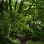 St Giles Hill