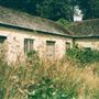 Penjerrick