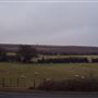 Mendips