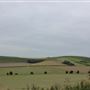MOD - Salisbury Plain