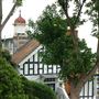 Southend-on-Sea (Town Centre)