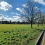 Cranleigh Common