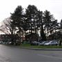 Newtown (residential street)