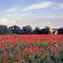 Kirton