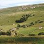 Bishopdale Beck