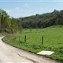 NT - Woodchester Park