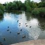 Three Brooks Nature Reserve