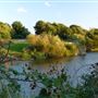 Marden Quarry
