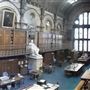 North of England Institute of Mining and Mechanical Engineers