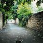 Clayton Road Alley