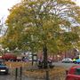 Harpenden Town