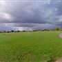Coronation Field