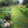 Birch Farm