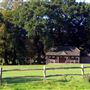 Falconhurst - Cricket Club