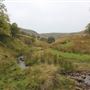 MOD - Holcombe Moor