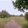 Dartford Heath
