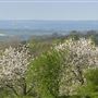Ulcombe Village