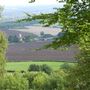 KCC Country Parks - Trosley