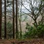 FE - Bury Hill