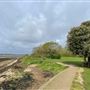 Portchester Shoreline