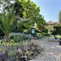 Sensory Garden of Reflection