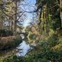 Lake, Bridge and River, Weston Park