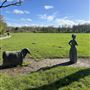 Birchwood Forest Park