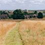 The Lawns